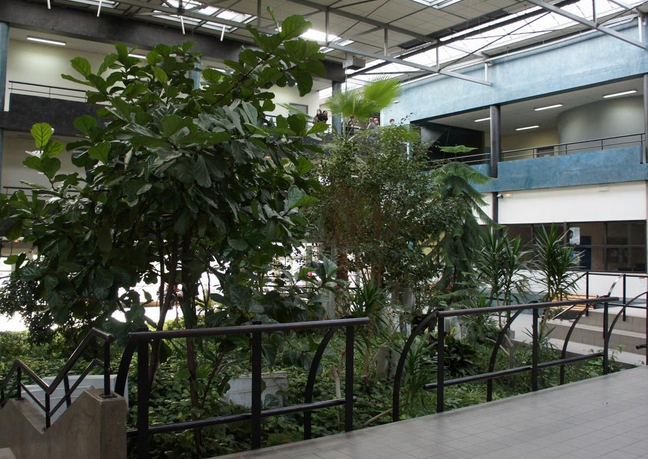photo de la serre intérieure du lycée Léonard de Vinci
