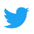Icône Twitter de face